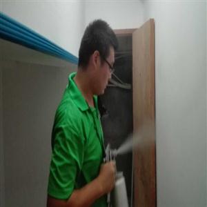刚新装修好的房子，怎么去除甲醛？